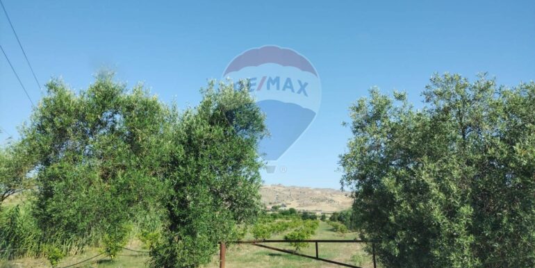 20250627111416-963009-1