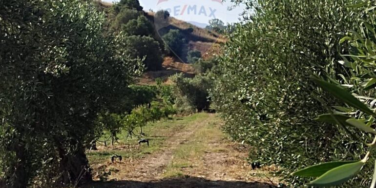 20250627111418-963009-2