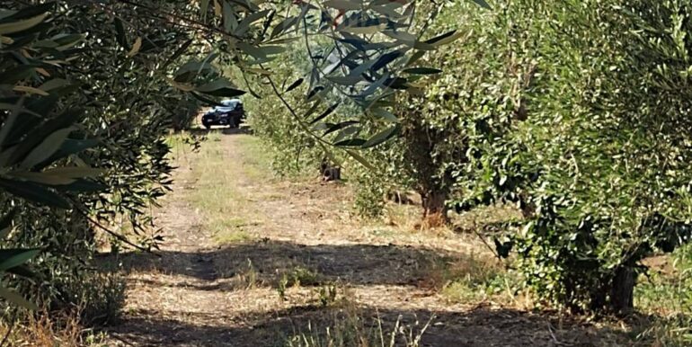 20250627111420-963009-3