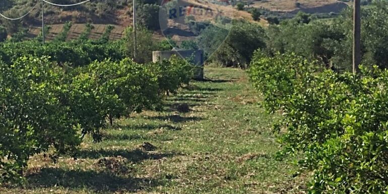 20250627111422-963009-4