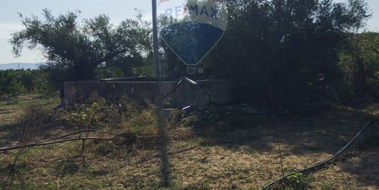 20250627111426-963009-6