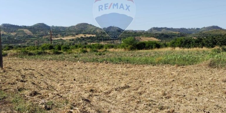 20250627111428-963009-7