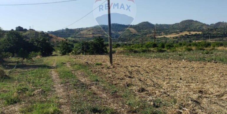 20250627111430-963009-8