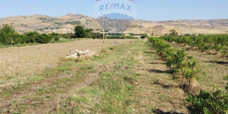 20250627111434-963009-10