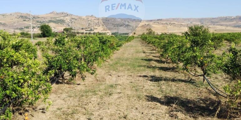 20250627111435-963009-11