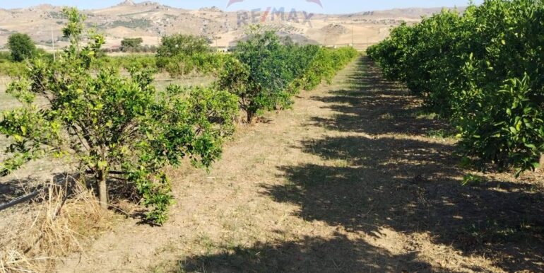 20250627111437-963009-12