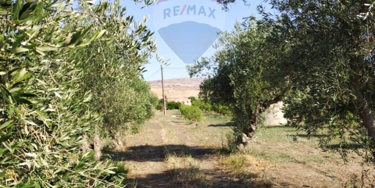 20250627111446-963009-17