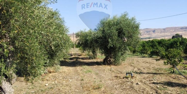 20250627111448-963009-18