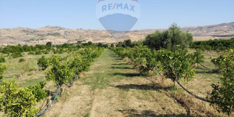 20250627111450-963009-19