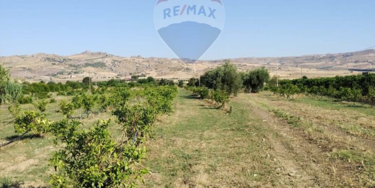 20250627111451-963009-20