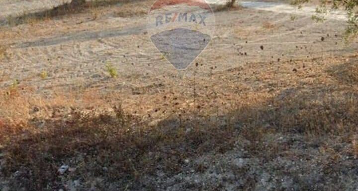 20250629100337-963081-1