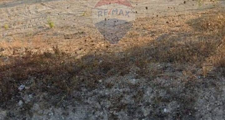 20250629100337-963081-2