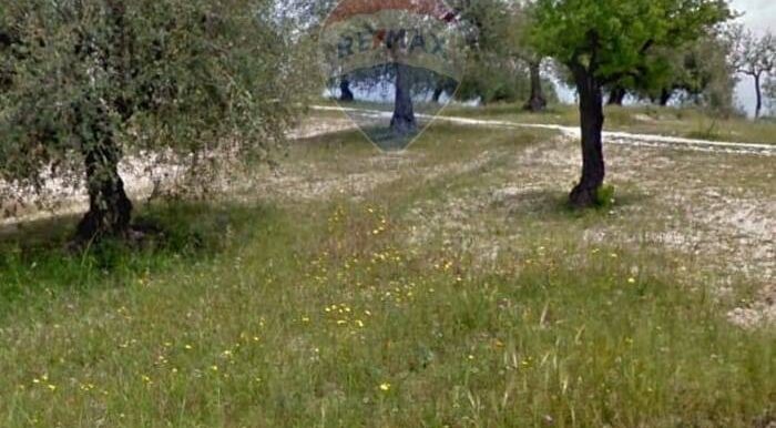 20250629100338-963081-3