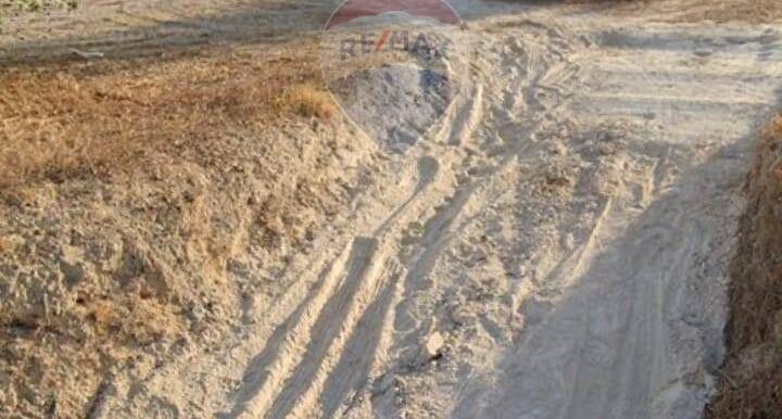 20250629100339-963081-4