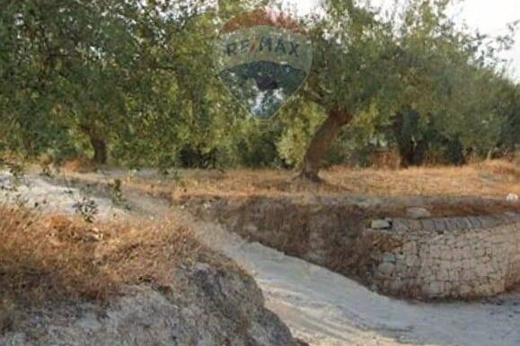 20250629100340-963081-5