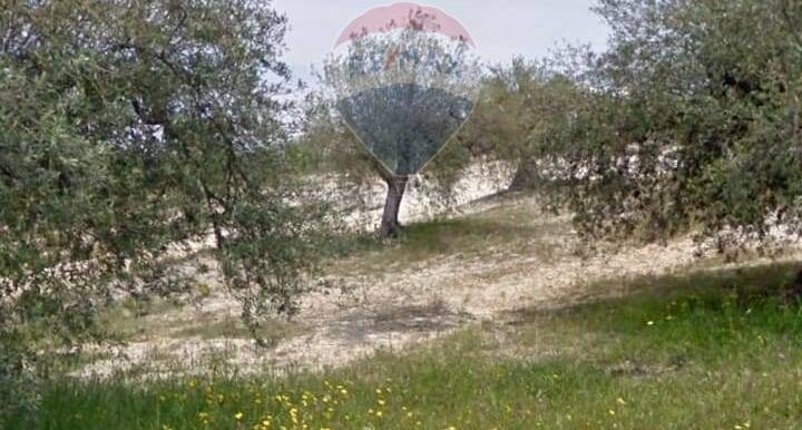 20250629100341-963081-6