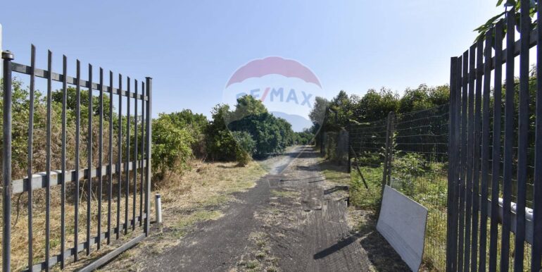 20250702110138-963945-1