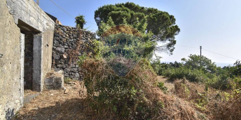 20250702110150-963945-7