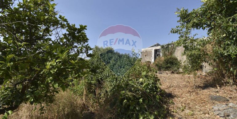 20250702110200-963945-10