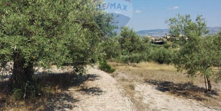 2025070391202-963081-9