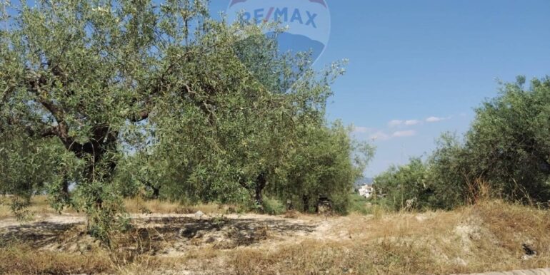 2025070391204-963081-10