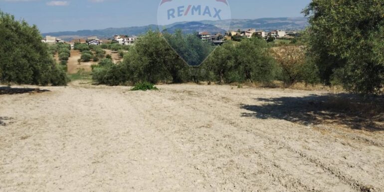 2025070391210-963081-13