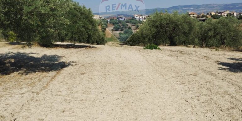 2025070391212-963081-14