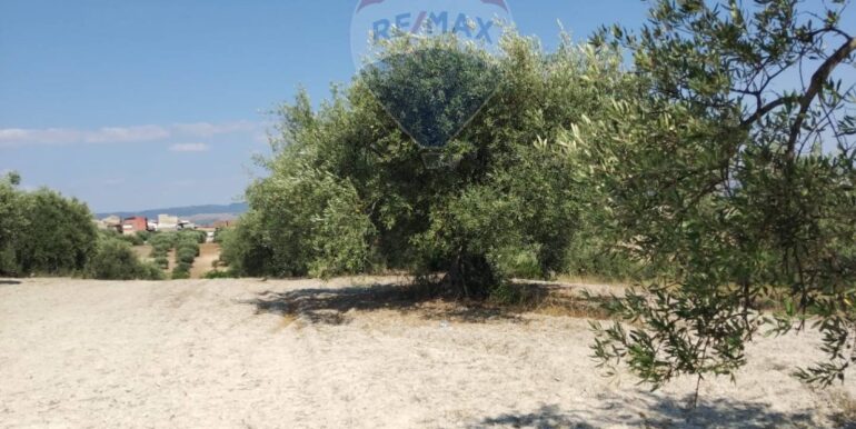 2025070391214-963081-15