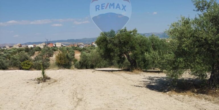 2025070391216-963081-16