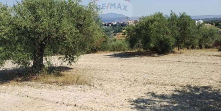 2025070391218-963081-17