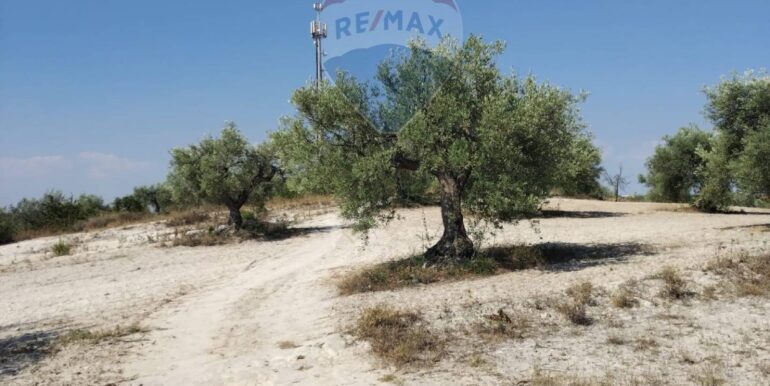 2025070391220-963081-18