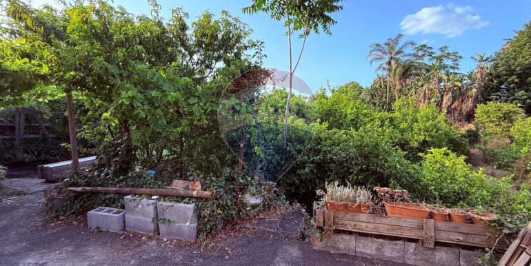 20250704105059-964894-3