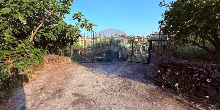 20250704105104-964894-4