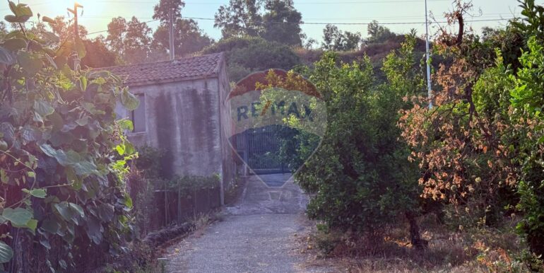 20250704105114-964894-6