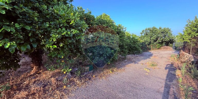 20250704105118-964894-7