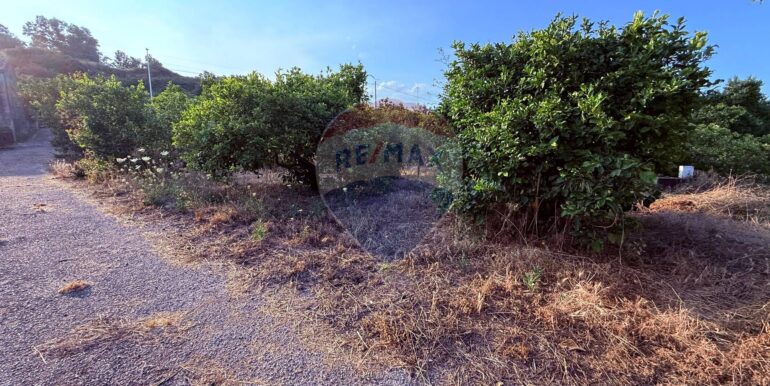 20250704105125-964894-8