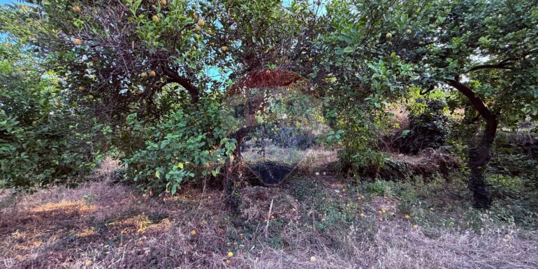 20250704105131-964894-9