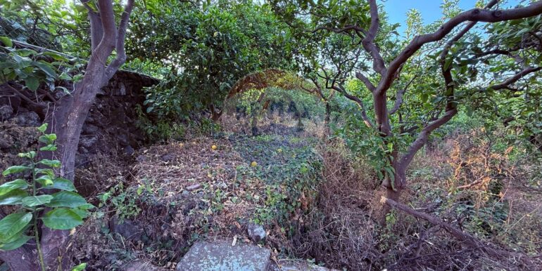 20250704105149-964894-11