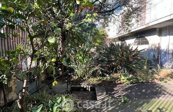 20250704153950-965216-8