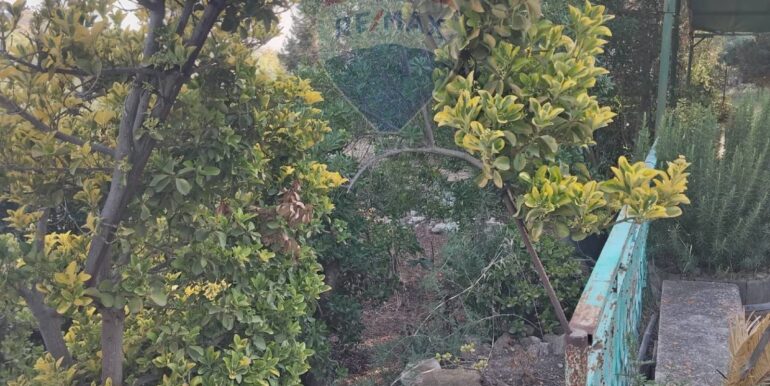 20250708112151-965715-1