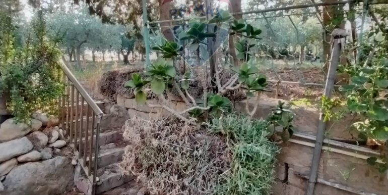 20250708112228-965715-15