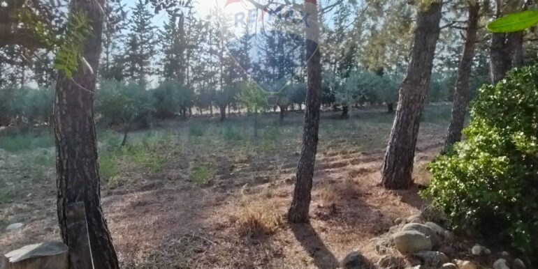 20250708112234-965715-17