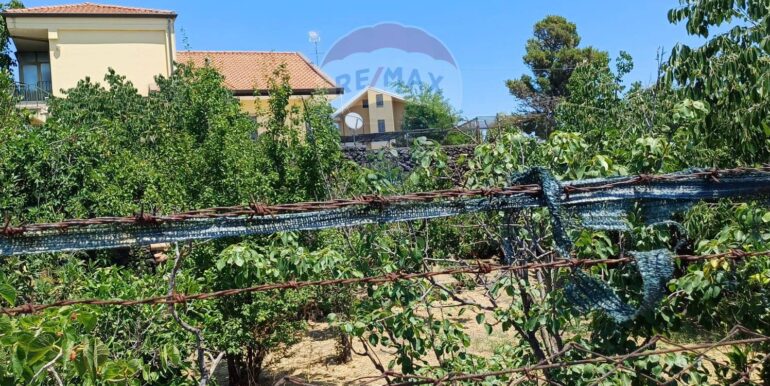 20250708120557-965733-1