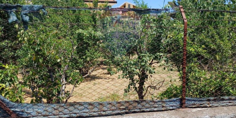 20250708120601-965733-2