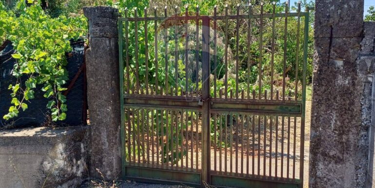 20250708120612-965733-6