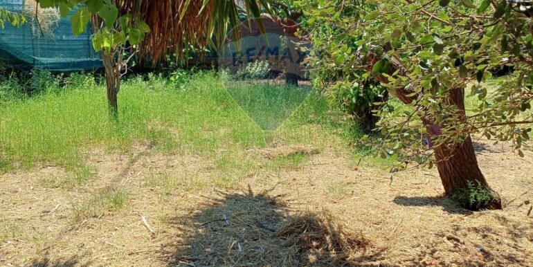 20250708120615-965733-7