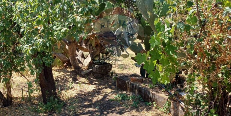 20250708120622-965733-9