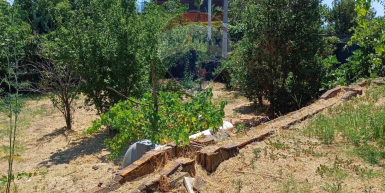 20250708120628-965733-11