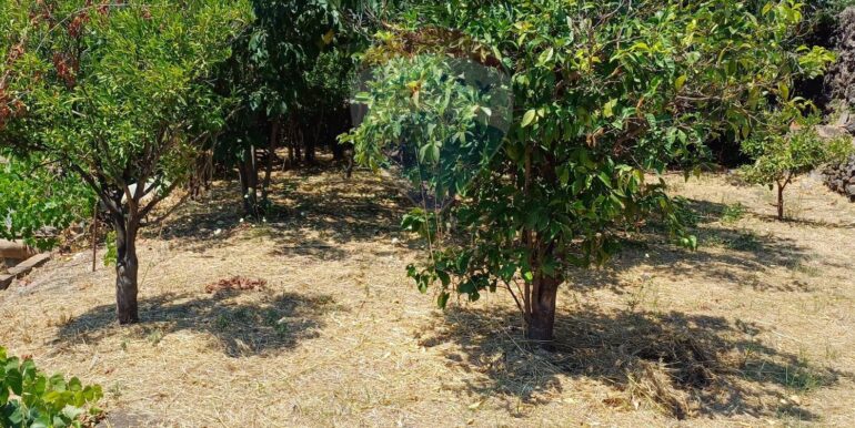 20250708120636-965733-13