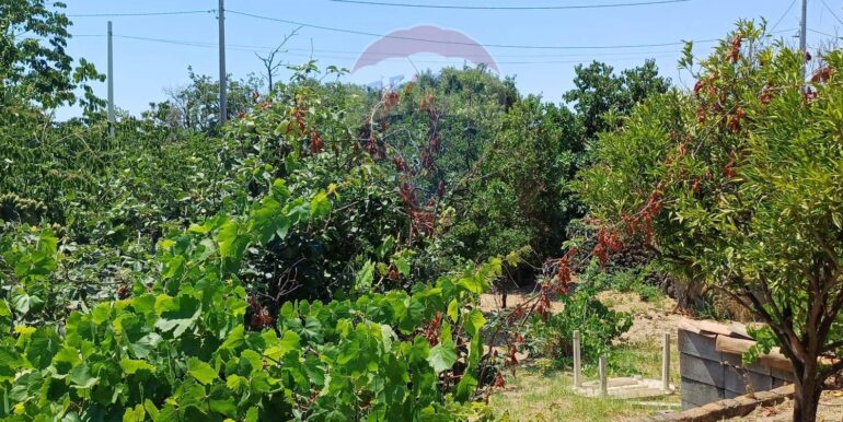 20250708120643-965733-15